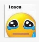 we all caca together