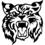 The Gaming Wildcats