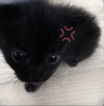 Pinterest Finds