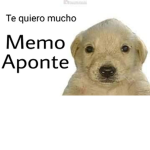 hola :> xd