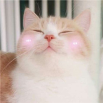 Trixlobü