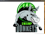 Tampa bolts / Shanghai swamp donkeys