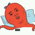 유튭 할생각 인 다람쥐
