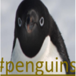 #Penguins