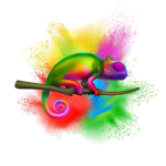 Chameleon Dance Studio