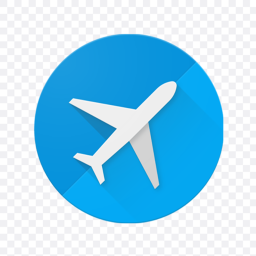 Airport flight