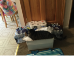 Kitten rollers lol