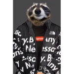 Trash panda gang
