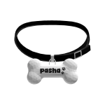 ୨୧・pasha