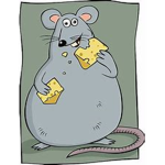 RATS KILLS CATS