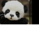 Wer will Beste Freunde.,