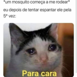 ...Cats love...