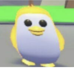 Penguin club101