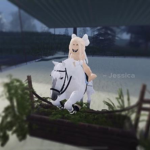 South Lake Equine Center