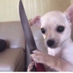 dog the murder aaa