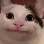 join this for rubux ever 10 days