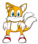 Sonic The Fans only
