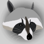 The Racoon's corp