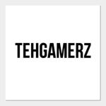 TehGamerz