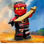 Ro-Ninjago Group