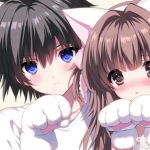 ʚïɞ.