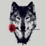 wolves freedom