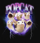Pop cat is the best cat