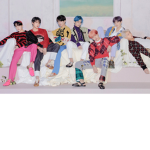 BTS-FLAMINGO fan