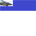 THE U.S. ELITE FORCES
