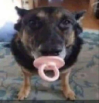 Furilo