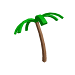 Coconut plant