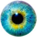 Try my Eye Holes (FAN special)