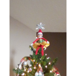 Elf life