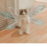- Fairy Avery -