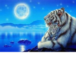tiger club place thang