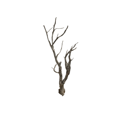 Dead Tree