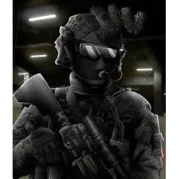gun paraside