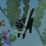 *+TheCrazyCats+*