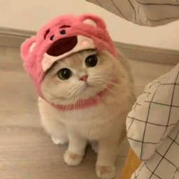 ฅ