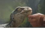 Reptile Adores!