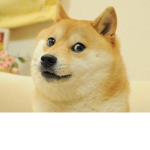 The Doge Memers