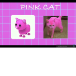 We are people who love cats