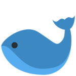 Whales Studio | Official