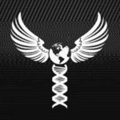 | Phoenix International | Roblox group icon