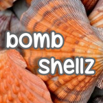 bomb shellz