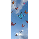 $Kash Butterflys