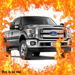 Free Model Test Drive