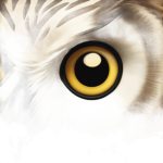 /OVO\
