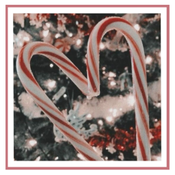 ｃａｎｄｙ