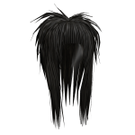 Scene Straight Bang Hime Cut (Black)